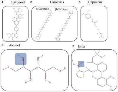 Piquin chili, a wild spice: natural variation in nutraceutical contents